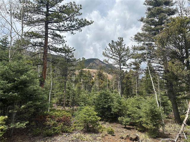 Photo 1 of 20 — 357 Big Horn Road, Manitou Springs, CO 80829