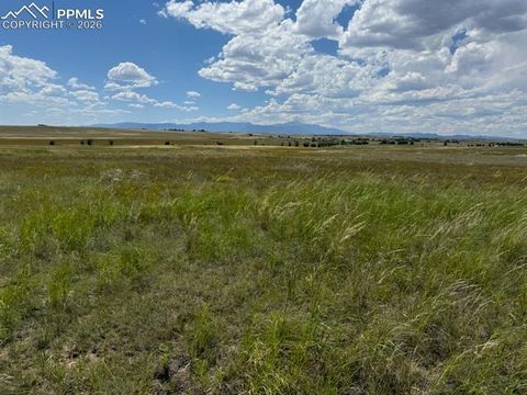 Photo of 17946 Prairie Coach View, Calhan, CO 80930 (MLS # 1505222)