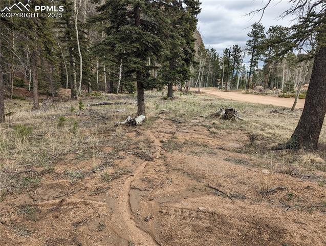 146 Waterfall Loop