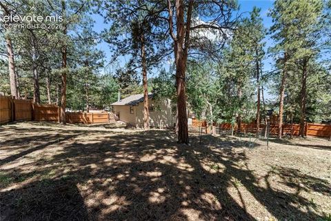 Tiny photo for 417 Coraline Street, Woodland Park, CO 80863 (MLS # 2577898)