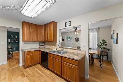 Tiny photo for 417 Coraline Street, Woodland Park, CO 80863 (MLS # 2577898)
