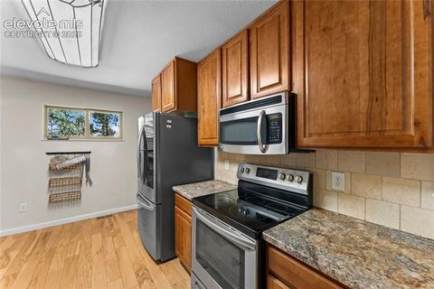 Tiny photo for 417 Coraline Street, Woodland Park, CO 80863 (MLS # 2577898)