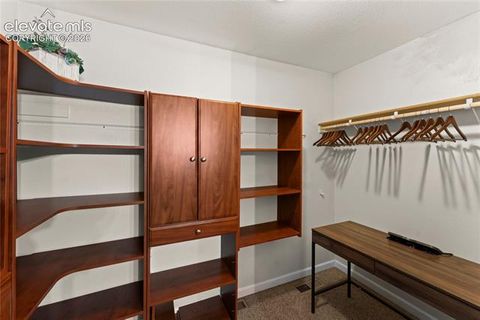 Tiny photo for 417 Coraline Street, Woodland Park, CO 80863 (MLS # 2577898)