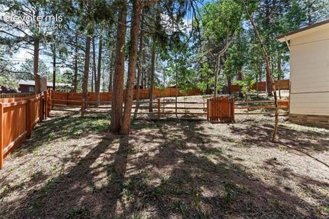 Tiny photo for 417 Coraline Street, Woodland Park, CO 80863 (MLS # 2577898)