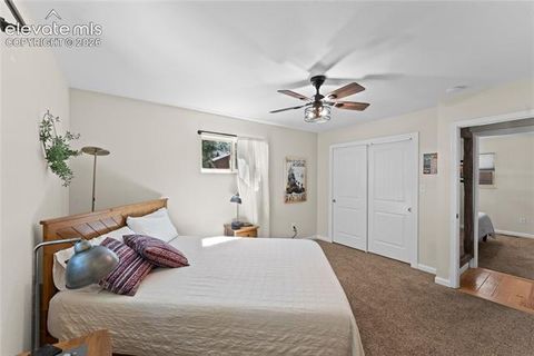 Tiny photo for 417 Coraline Street, Woodland Park, CO 80863 (MLS # 2577898)