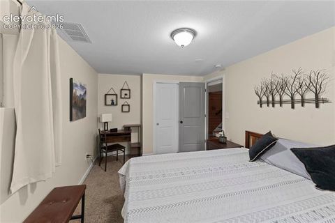 Tiny photo for 417 Coraline Street, Woodland Park, CO 80863 (MLS # 2577898)
