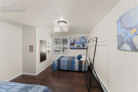 Tiny photo for 417 Coraline Street, Woodland Park, CO 80863 (MLS # 2577898)