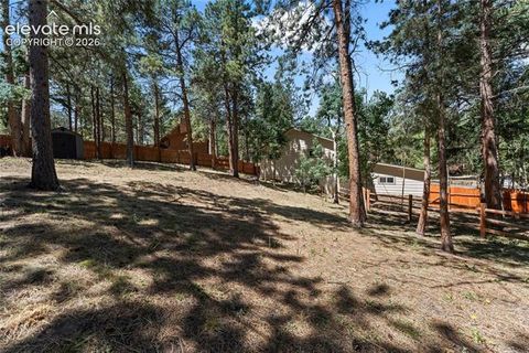 Tiny photo for 417 Coraline Street, Woodland Park, CO 80863 (MLS # 2577898)