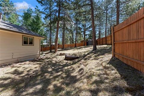 Tiny photo for 417 Coraline Street, Woodland Park, CO 80863 (MLS # 2577898)