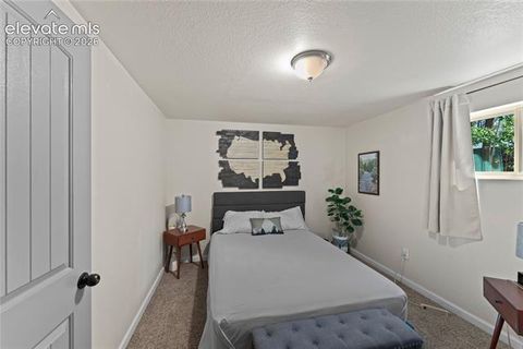 Tiny photo for 417 Coraline Street, Woodland Park, CO 80863 (MLS # 2577898)