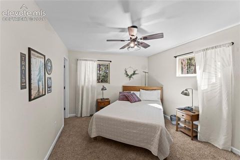 Tiny photo for 417 Coraline Street, Woodland Park, CO 80863 (MLS # 2577898)