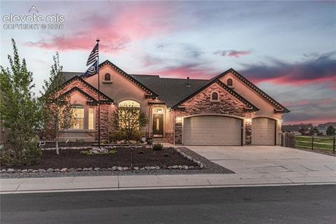 Photo of 10862 Torreys Peak Way, Peyton, CO 80831 (MLS # 9474486)
