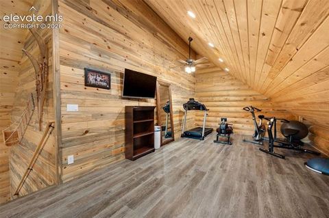 Tiny photo for 15372 Westcreek Road, Woodland Park, CO 80863 (MLS # 3173391)