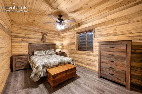 Tiny photo for 15372 Westcreek Road, Woodland Park, CO 80863 (MLS # 3173391)