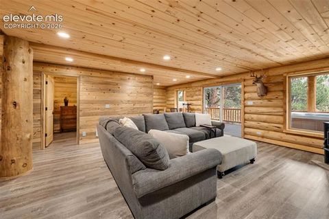 Tiny photo for 15372 Westcreek Road, Woodland Park, CO 80863 (MLS # 3173391)