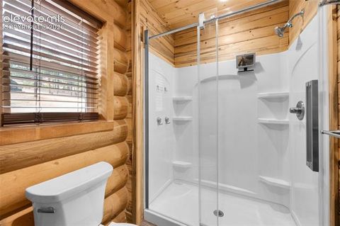 Tiny photo for 15372 Westcreek Road, Woodland Park, CO 80863 (MLS # 3173391)
