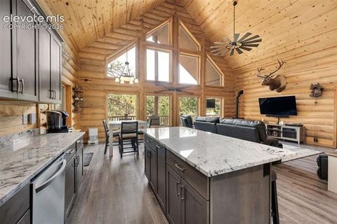 Tiny photo for 15372 Westcreek Road, Woodland Park, CO 80863 (MLS # 3173391)