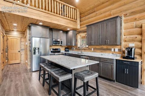 Tiny photo for 15372 Westcreek Road, Woodland Park, CO 80863 (MLS # 3173391)