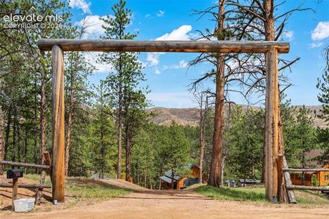Tiny photo for 15372 Westcreek Road, Woodland Park, CO 80863 (MLS # 3173391)