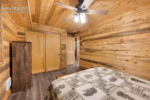 Tiny photo for 15372 Westcreek Road, Woodland Park, CO 80863 (MLS # 3173391)