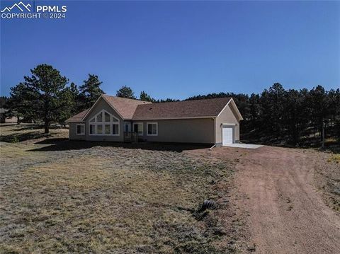 Photo of 108 High Pasture Road, Florissant, CO 80816 (MLS # 6959093)