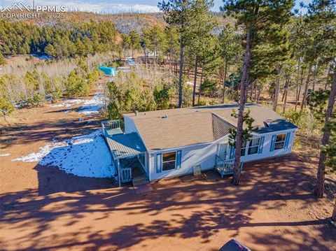 Tiny photo for 100 Wolverine Drive, Florissant, CO 80816 (MLS # 2432724)