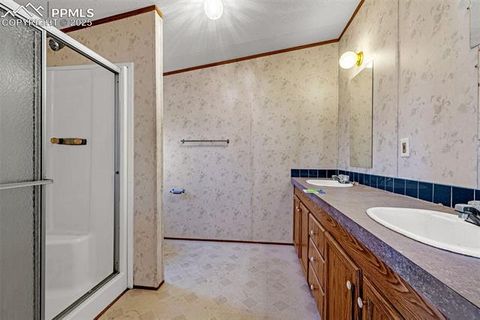 Tiny photo for 100 Wolverine Drive, Florissant, CO 80816 (MLS # 2432724)