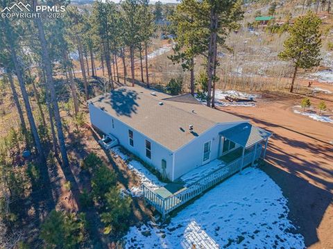 Tiny photo for 100 Wolverine Drive, Florissant, CO 80816 (MLS # 2432724)