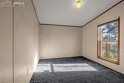 Tiny photo for 100 Wolverine Drive, Florissant, CO 80816 (MLS # 2432724)