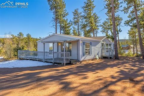 Photo of 100 Wolverine Drive, Florissant, CO 80816 (MLS # 2432724)