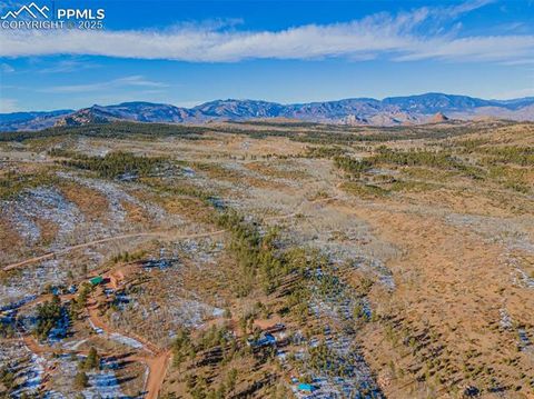 Tiny photo for 100 Wolverine Drive, Florissant, CO 80816 (MLS # 2432724)