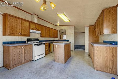 Tiny photo for 100 Wolverine Drive, Florissant, CO 80816 (MLS # 2432724)