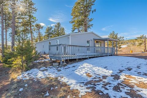 Tiny photo for 100 Wolverine Drive, Florissant, CO 80816 (MLS # 2432724)