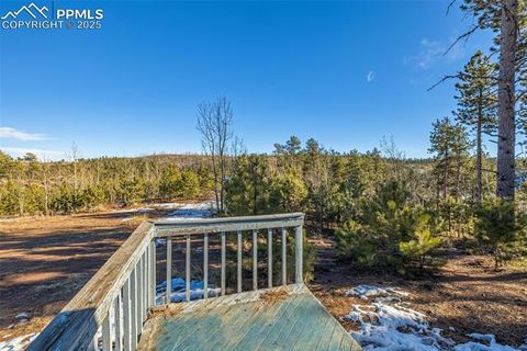 Tiny photo for 100 Wolverine Drive, Florissant, CO 80816 (MLS # 2432724)