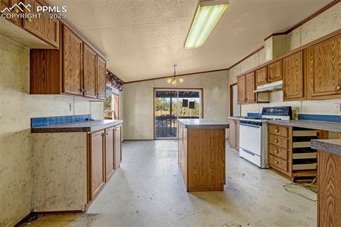 Tiny photo for 100 Wolverine Drive, Florissant, CO 80816 (MLS # 2432724)