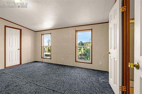 Tiny photo for 100 Wolverine Drive, Florissant, CO 80816 (MLS # 2432724)