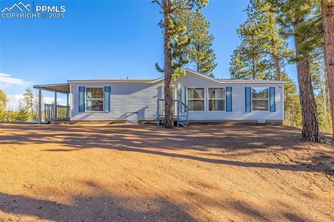Tiny photo for 100 Wolverine Drive, Florissant, CO 80816 (MLS # 2432724)