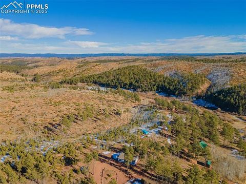 Tiny photo for 100 Wolverine Drive, Florissant, CO 80816 (MLS # 2432724)