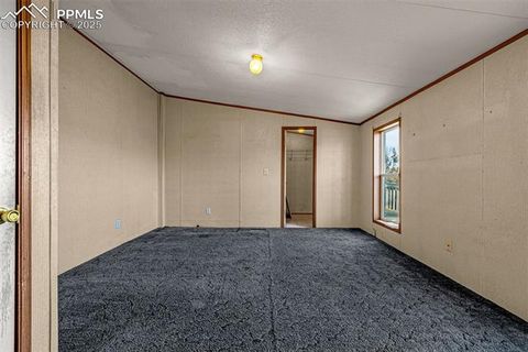 Tiny photo for 100 Wolverine Drive, Florissant, CO 80816 (MLS # 2432724)