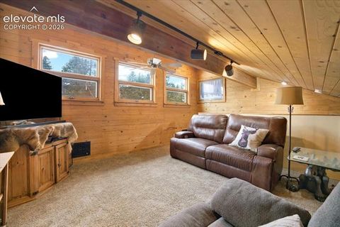 Tiny photo for 715 W Bison Creek Trail, Florissant, CO 80816 (MLS # 1698795)