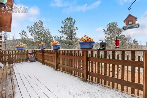 Tiny photo for 715 W Bison Creek Trail, Florissant, CO 80816 (MLS # 1698795)