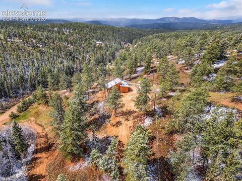 Tiny photo for 715 W Bison Creek Trail, Florissant, CO 80816 (MLS # 1698795)