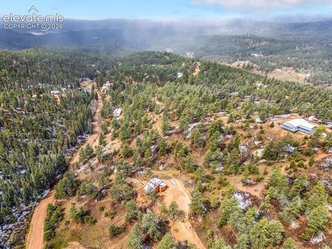 Tiny photo for 715 W Bison Creek Trail, Florissant, CO 80816 (MLS # 1698795)