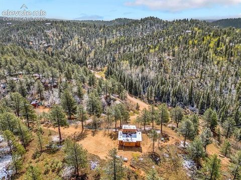 Tiny photo for 715 W Bison Creek Trail, Florissant, CO 80816 (MLS # 1698795)