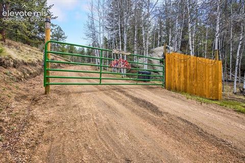 Tiny photo for 715 W Bison Creek Trail, Florissant, CO 80816 (MLS # 1698795)