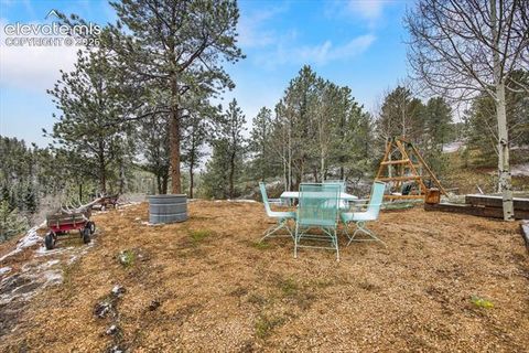 Tiny photo for 715 W Bison Creek Trail, Florissant, CO 80816 (MLS # 1698795)