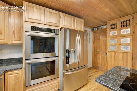 Tiny photo for 715 W Bison Creek Trail, Florissant, CO 80816 (MLS # 1698795)