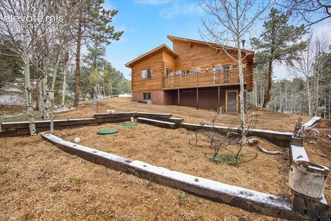 Tiny photo for 715 W Bison Creek Trail, Florissant, CO 80816 (MLS # 1698795)