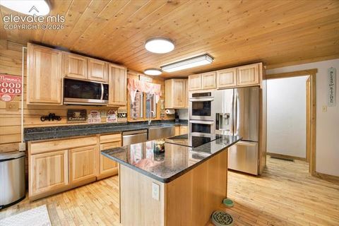 Tiny photo for 715 W Bison Creek Trail, Florissant, CO 80816 (MLS # 1698795)