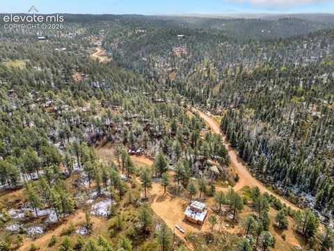 Tiny photo for 715 W Bison Creek Trail, Florissant, CO 80816 (MLS # 1698795)